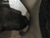 Filthy wife feeds twat to her dog